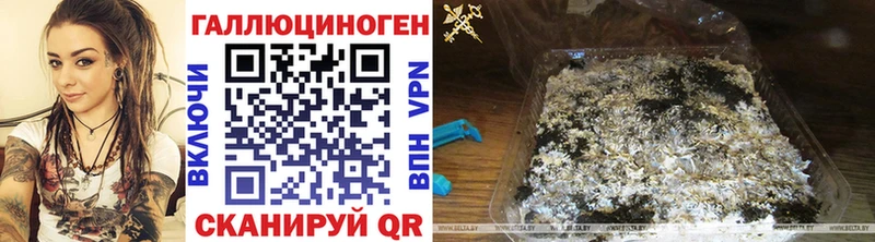 Псилоцибиновые грибы мицелий купить сайты Белая Холуница